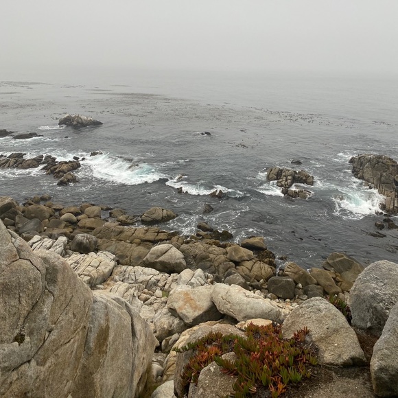 Meet your Posher, Erica - Picture 5 of 8